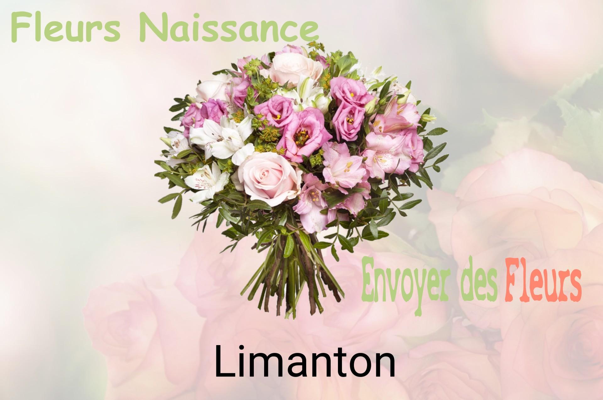 Bouquet de fleurs de naissance livré à Limanton