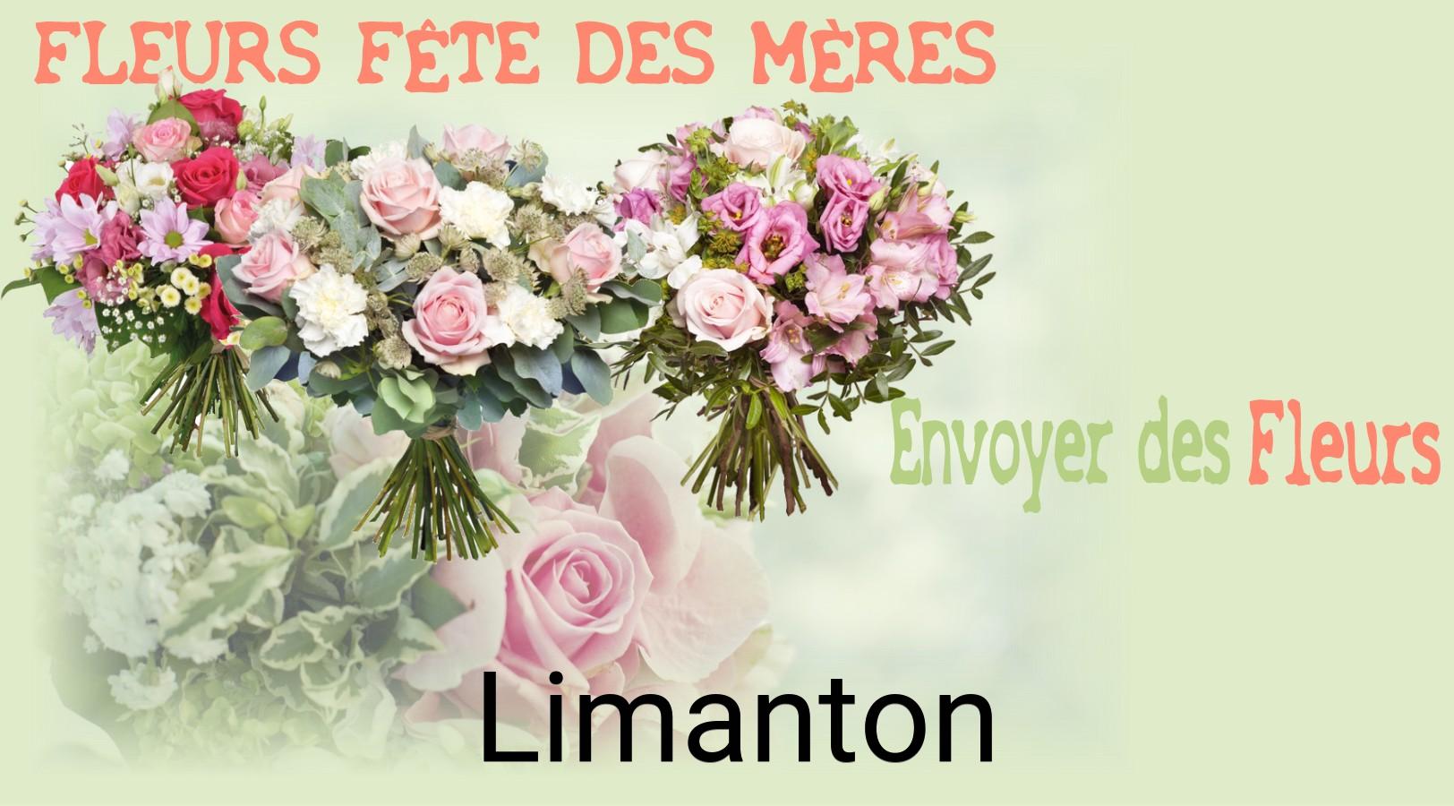Bouquet de Fête des Mères livré à Limanton